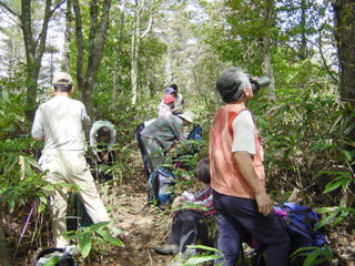 �����؂ŋx�e