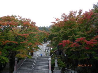 大山阿夫利神社