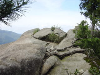 �I�E����