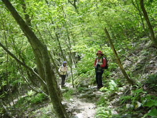 ��R������̓o��