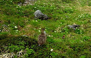 �����̐e�q