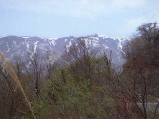 �ѓ����猩������x