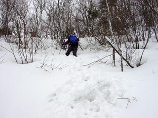 ���b�Z�� by ���[�_�[