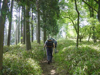 �����R�Ő�