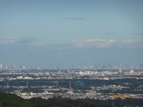 桜山