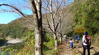 桜の園