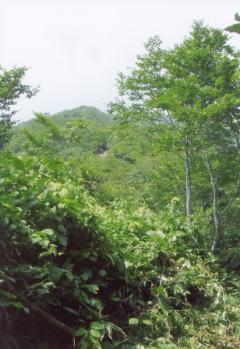 避難小屋から