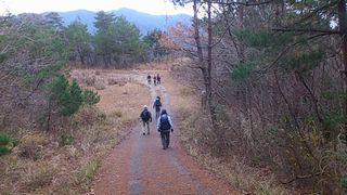大師山林道