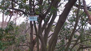 高尾山山頂