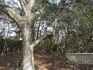 的場山山頂
