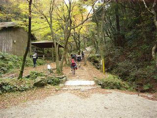 �{�����Q��