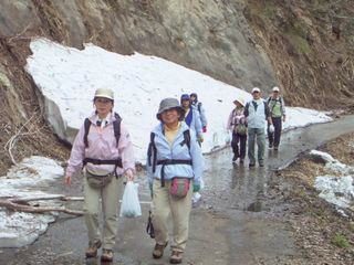 �R�؍̂�I���I