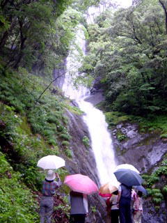 �����̑�