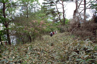 �������̓�