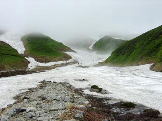 ������̐݌v