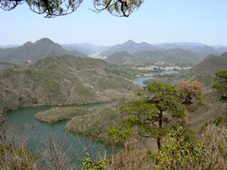 �犠�����r