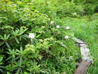 ������r�̐Γ��