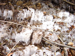 �����̑���