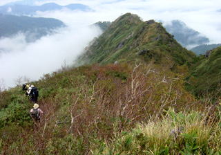 �ό��V���̉���