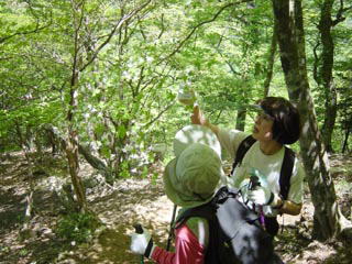 �~�h���ɐ��܂���