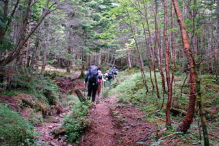 �Ԋx�֌�����