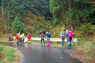 �J�̒��o��