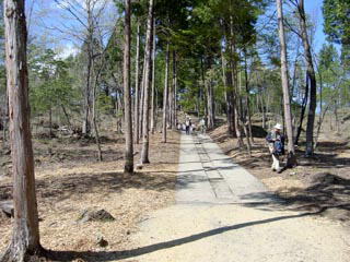 �����y�{�Ղ��̂Q