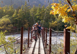 �V�����̏�ŗh���