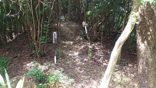 獅子窟寺分岐