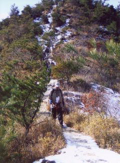 ���������̉���