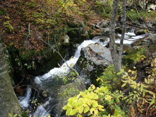 �F�̍��|��