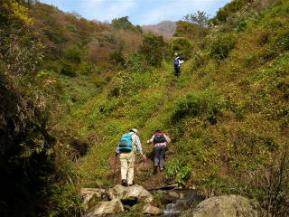 �ܒ��q�̑�ւ̓o��