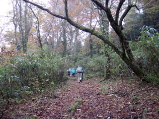 ���R�T���H���̂Q