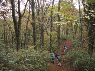 ���R�T���H���̂R