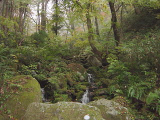 ���R�T���H���̂S