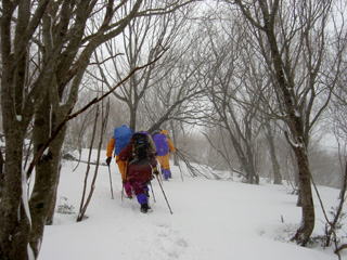 �R����ڑO��