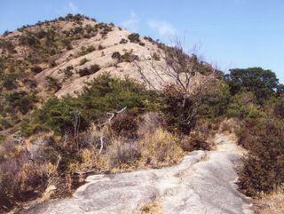 �W�]�䂩��S�Ԋ�