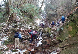 ���ʑ�ւ̏��