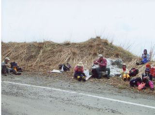 ���z���ł���