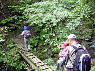 �؋���n��