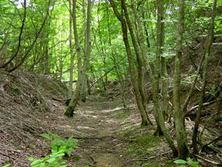 �ؘR��z�̍~�铹