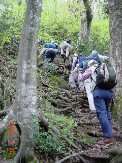 �t�R�ւ̓o��