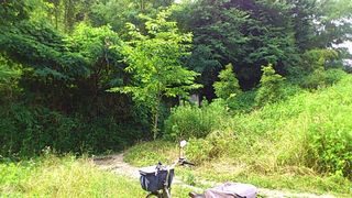 登山口