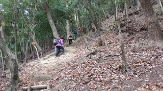 鶏籠山登山道