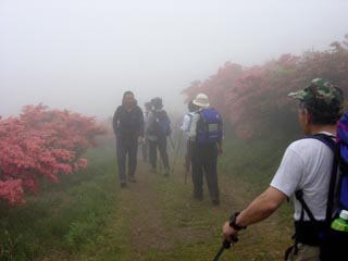 �������̂P