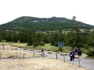 �ؒ납��Ȍ͂�]��