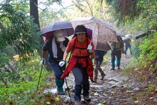 �J���̍s�i