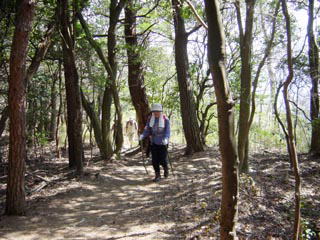 �ؘR����̒��̏��