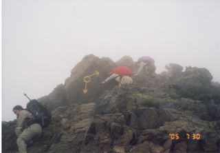 ����̉���