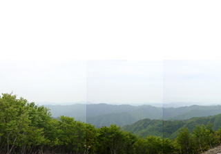 �ዷ�p���̂���